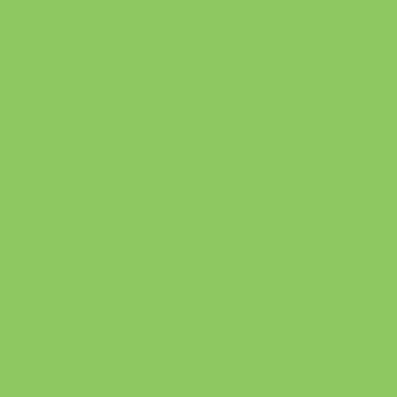 Hoja de Vinil textil SISER Easyweed - Grupo Emi RD